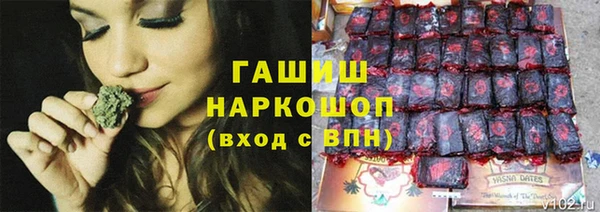 мдпв Осташков