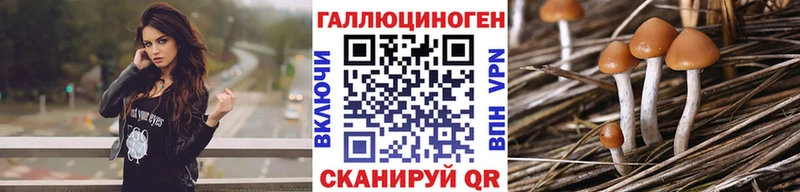 Галлюциногенные грибы Psilocybine cubensis  Купить где  Щигры 